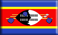 [domain] Swaziland Flag